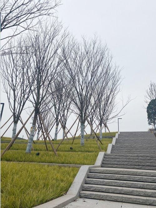 沙坪坝区五云公园地址(沙坪坝区五云实验学校简介)