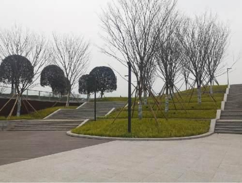 沙坪坝区五云公园地址(沙坪坝区五云实验学校简介)