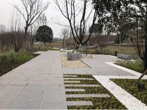 沙坪坝区五云公园地址(沙坪坝区五云实验学校简介)