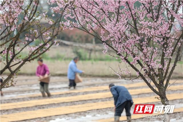 何兴村在哪(问道手游薛富贵在哪)