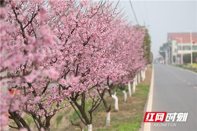 何兴村在哪(问道手游薛富贵在哪)