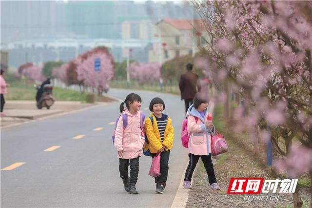 何兴村在哪(问道手游薛富贵在哪)