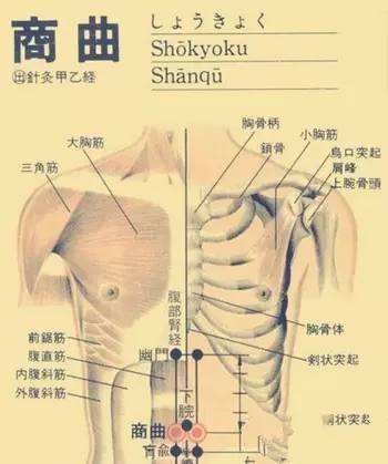 少阴痛在哪的简单介绍