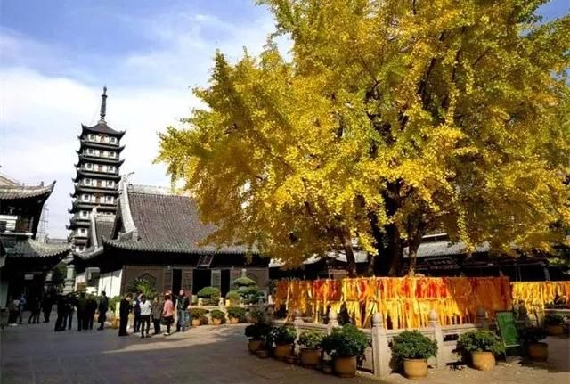 万寿寺在哪(兰州万寿寺在哪)