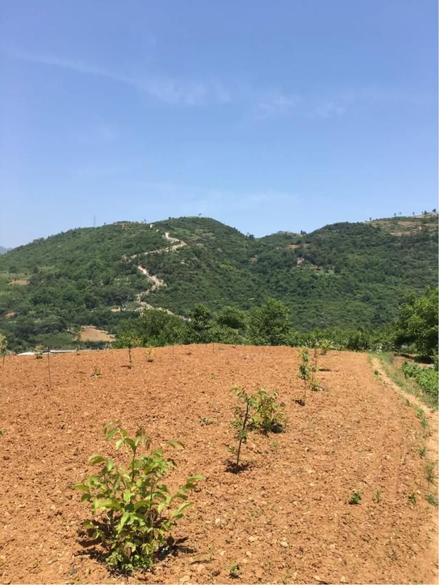 贵州甘溪在哪里(贵州干洗加盟)