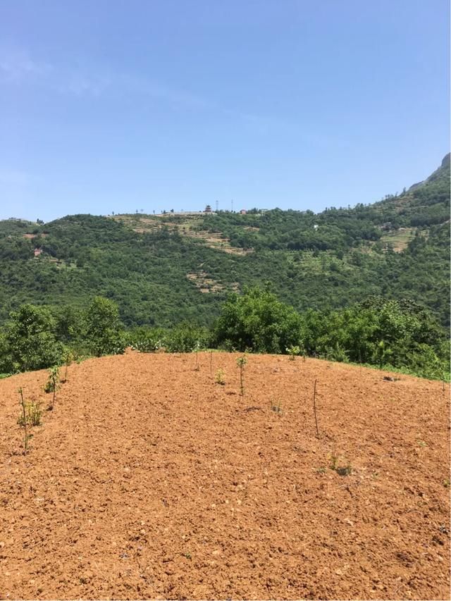 贵州甘溪在哪里(贵州干洗加盟)