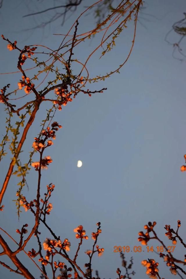 大名湖在哪里(大明湖畔趵突泉边)