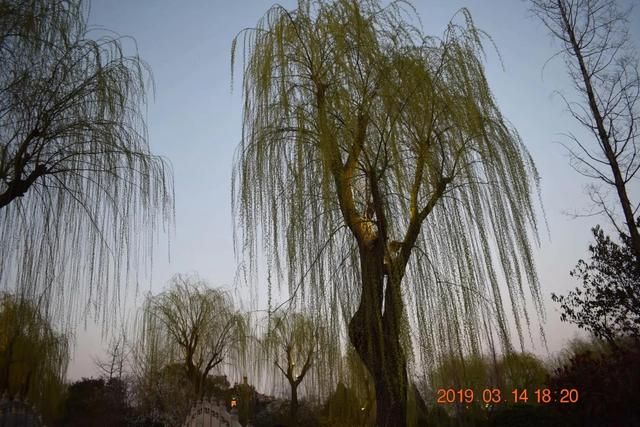大名湖在哪里(大明湖畔趵突泉边)