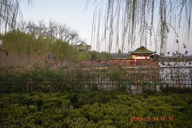 大名湖在哪里(大明湖畔趵突泉边)