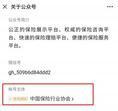 保单在哪里办(怎么查询自己的保单)
