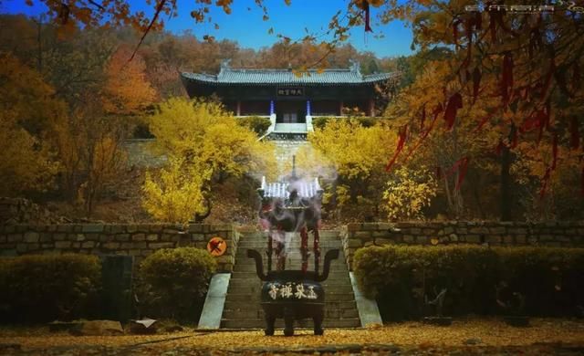 玉泉寺在哪里(泰山玉泉寺在哪里)