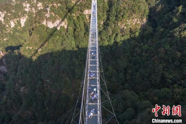 最近的玻璃桥在哪里(附近玻璃桥旅游景点在哪里)
