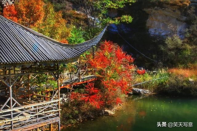 红歌唱响的地方在哪(红歌唱响的地方)
