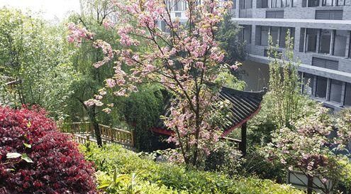 重庆铁路中学高中好吗(重庆铁路中学高考升学率)