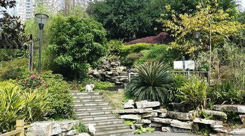 重庆铁路中学高中好吗(重庆铁路中学高考升学率)