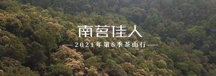 曼松在哪里(曼松茶产地在哪里)