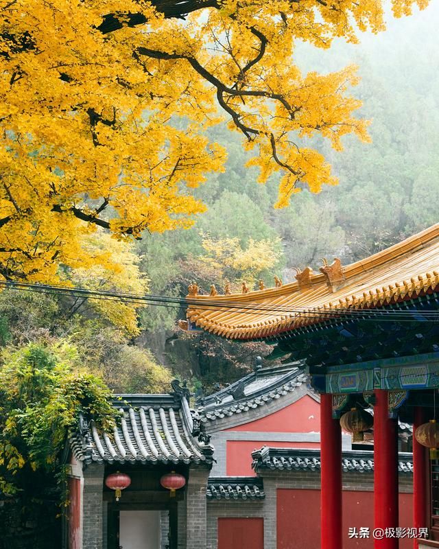 港沟在哪(港沟在哪个方向)