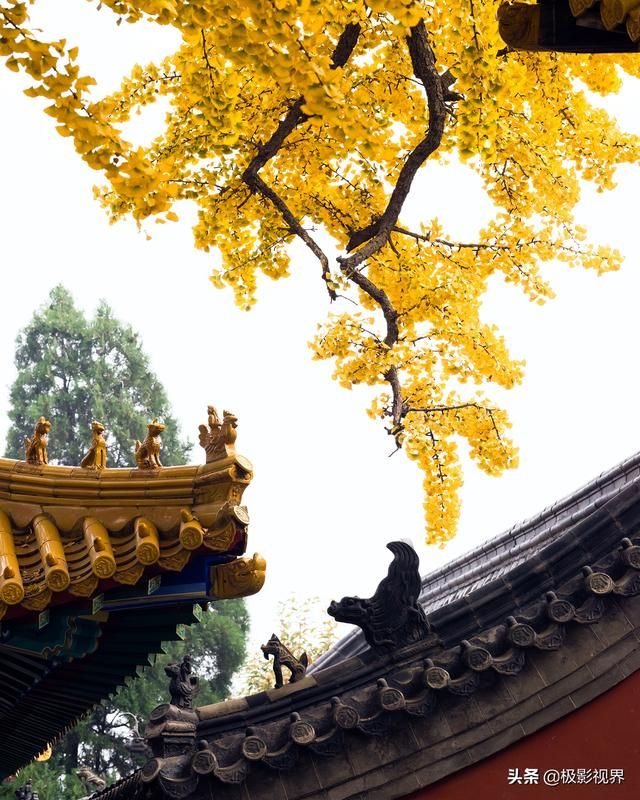 港沟在哪(港沟在哪个方向)
