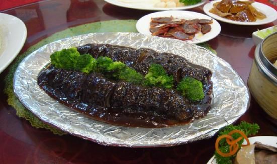 肛门在哪里(鱼的肛门在哪里)