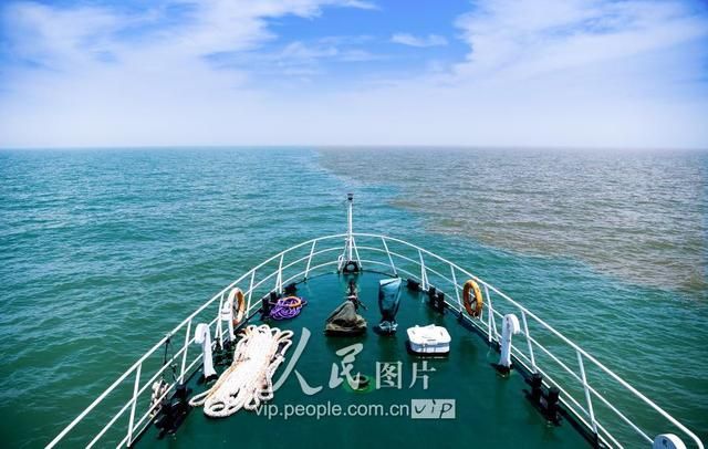 河口在哪(河口在哪里)
