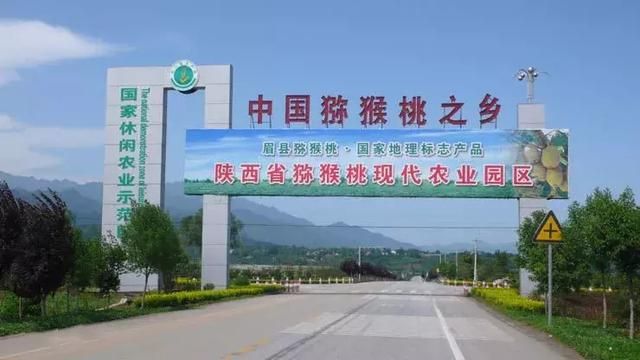 徐香在哪里(江山徐香在哪里)
