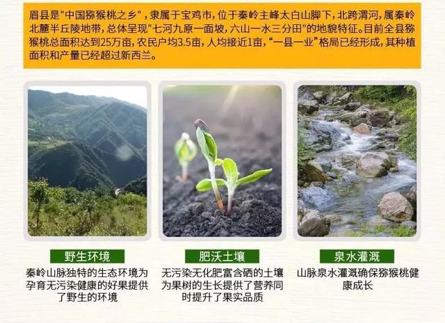 徐香在哪里(江山徐香在哪里)