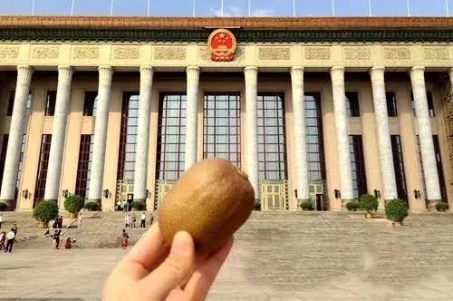 徐香在哪里(江山徐香在哪里)