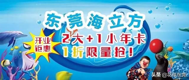 东莞海洋公园在哪里(东莞海洋公园)