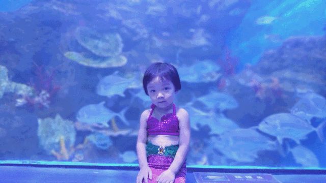 东莞海洋公园在哪里(东莞海洋公园)