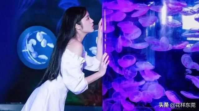 东莞海洋公园在哪里(东莞海洋公园)