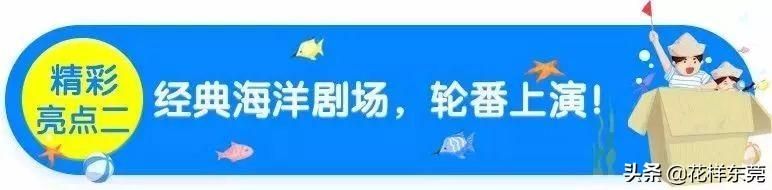 东莞海洋公园在哪里(东莞海洋公园)