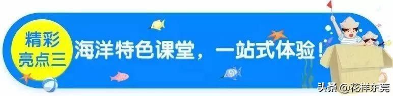 东莞海洋公园在哪里(东莞海洋公园)
