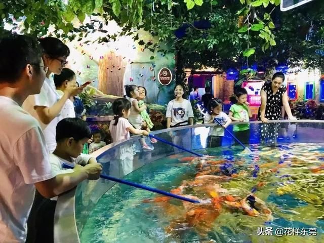 东莞海洋公园在哪里(东莞海洋公园)