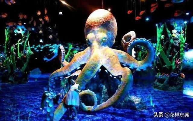 东莞海洋公园在哪里(东莞海洋公园)