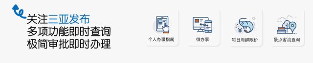 三亚办个体经商户的简单介绍