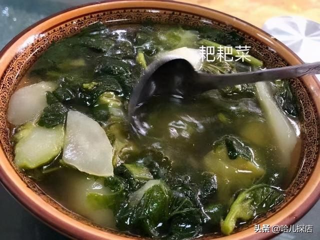 成都鸭子在哪里找(成都最好吃的卤鸭子在哪里)