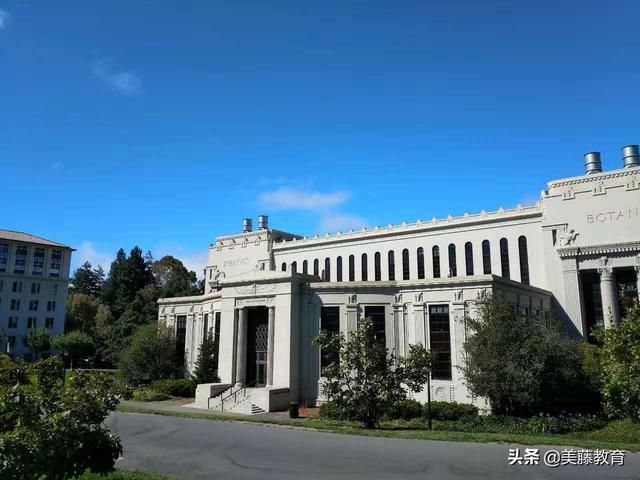 伯克利在哪个城市(加州大学伯克利在哪个城市)