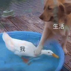cad临时文件在哪(cad临时文件在哪里找)