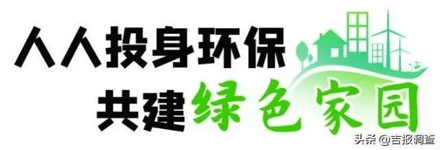 邮政协议信箱在哪里(邮政协议信箱没取件码)