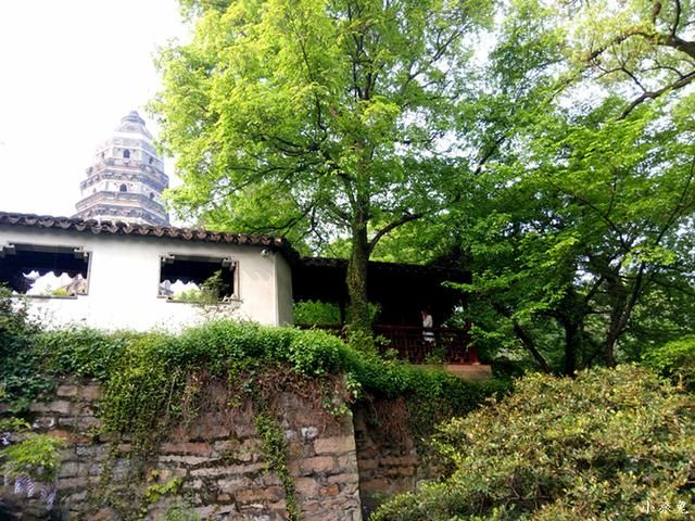 虎丘在哪儿(虎丘在哪里) 虎丘在哪儿(虎丘在哪里)