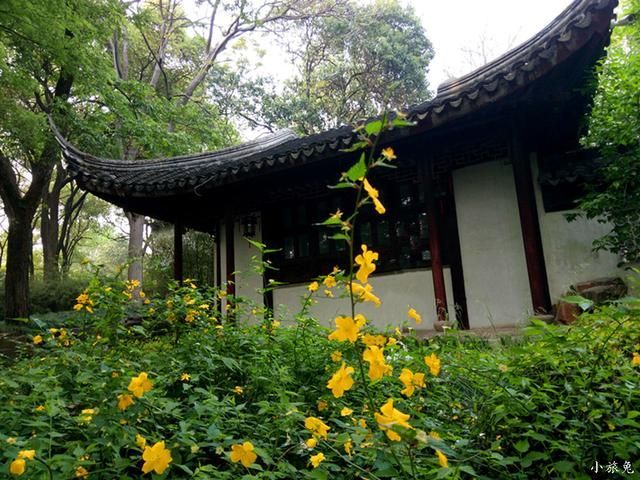 虎丘在哪儿(虎丘在哪里) 虎丘在哪儿(虎丘在哪里)