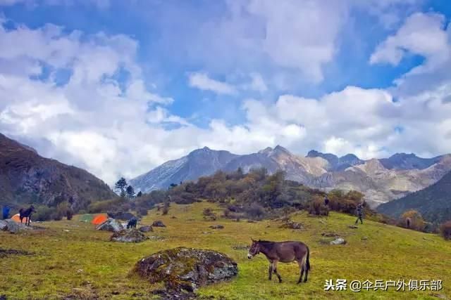 洛克线在哪里(洛克王国乐园在哪里)