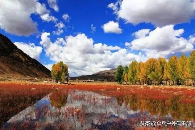 洛克线在哪里(洛克王国乐园在哪里)