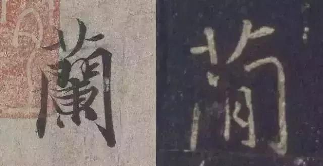 右曲直在哪(尺泽穴位位置图)