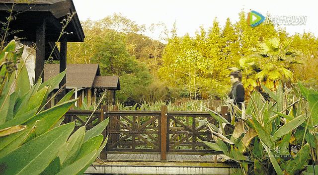 热土庄园在哪(热土养生庄园)
