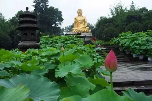 重庆5号线所有站点2019(重庆轨道5号线最新消息)