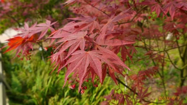 重庆5号线所有站点2019(重庆轨道5号线最新消息)