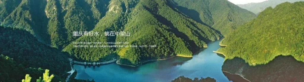 重庆5号线所有站点2019(重庆轨道5号线最新消息)