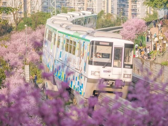 重庆5号线所有站点2019(重庆轨道5号线最新消息)