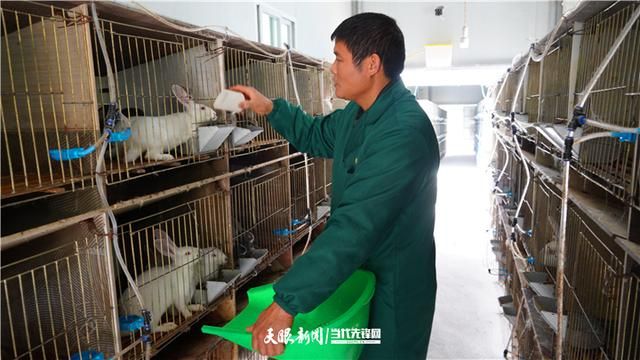 贵州兔子销售市场在哪(西安兔子销售市场在哪)